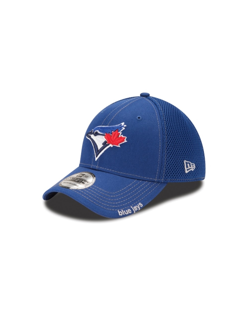 Team Neo 39THIRTY Cap