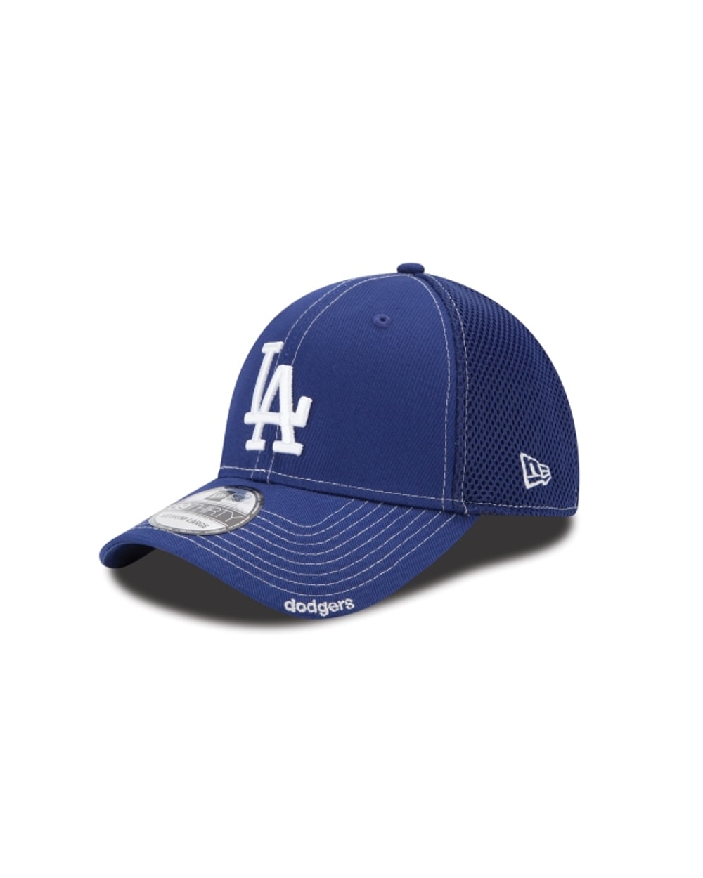 Team Neo 39THIRTY Cap