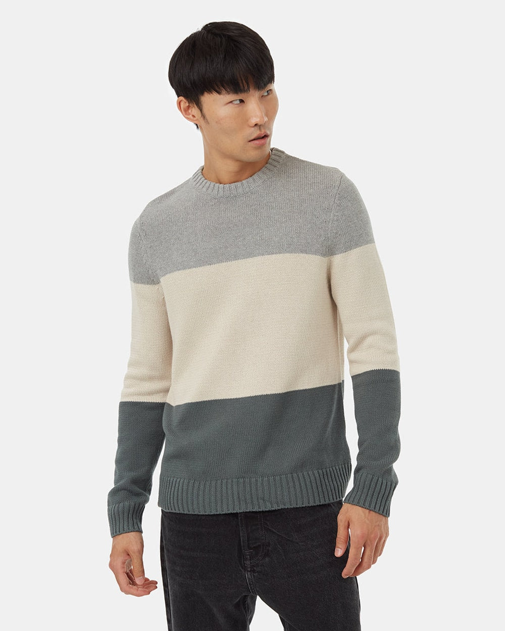 Tentree Highline Block Sweater - Grey - angle