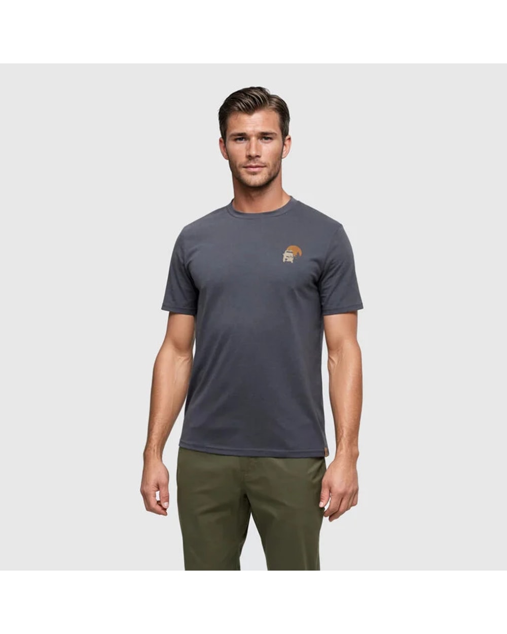 Tentree Men's Mountain Pass T-Shirt