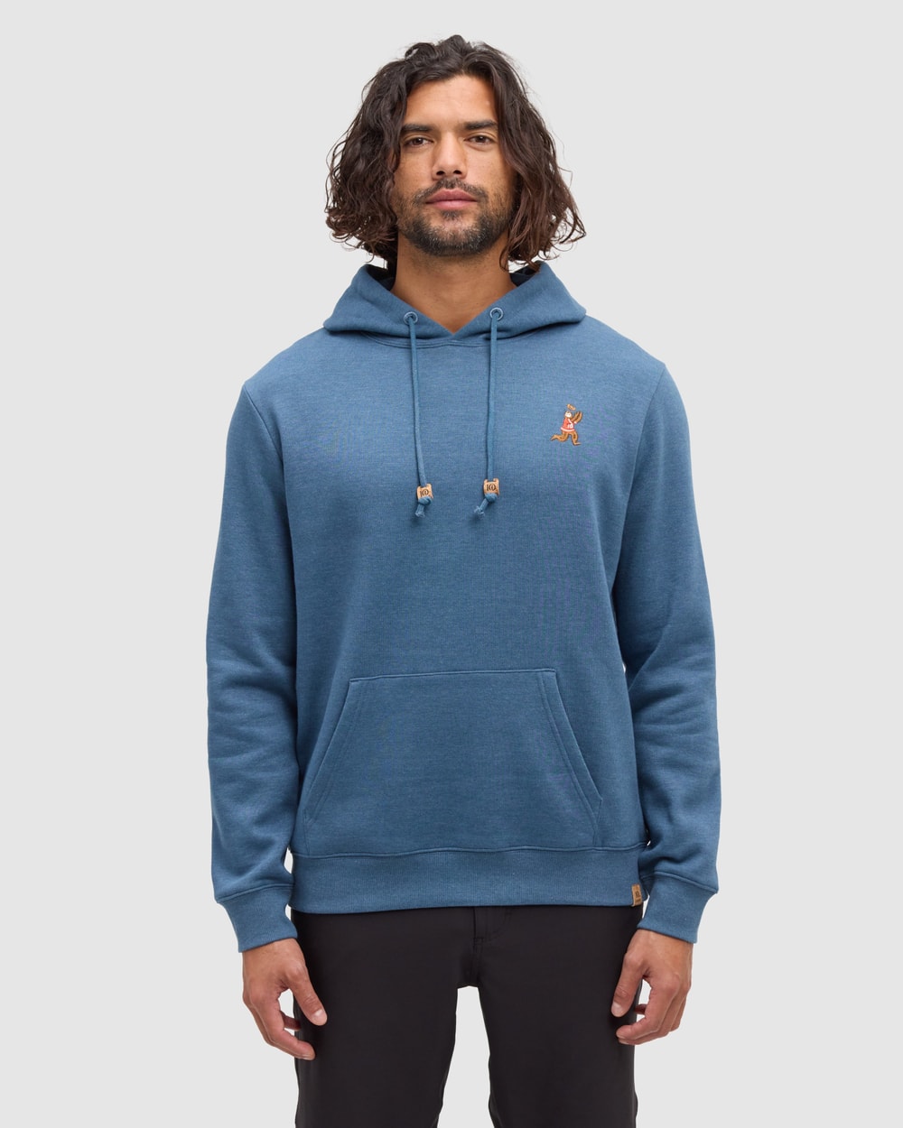 Tentree Sasquatch Hoodie Blue Horizon Heather Football - front on model