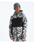 The North Face Boys’ Freedom Insulated Print Jacket