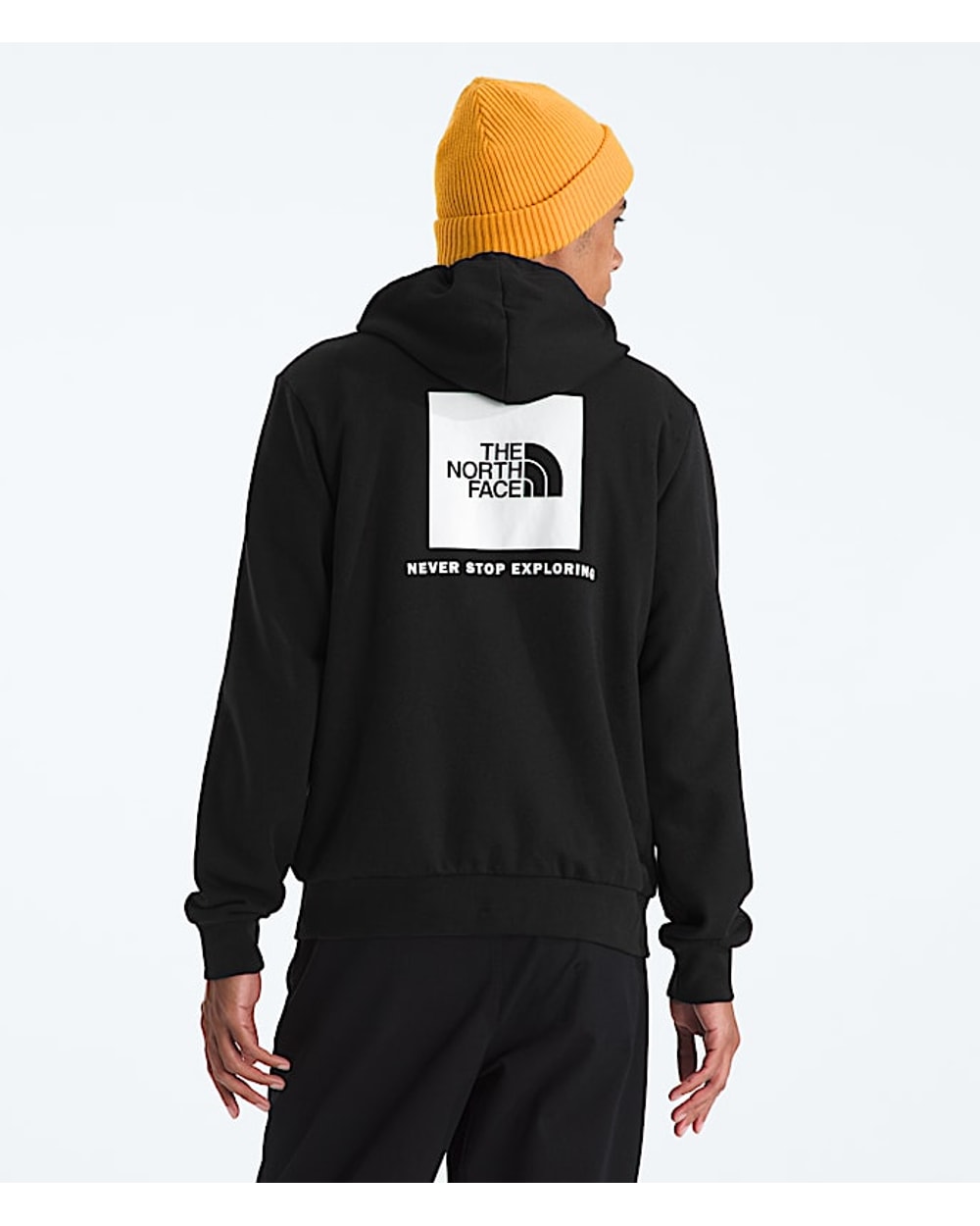 The North Face Men’s Evolution Box NSE Hoodie