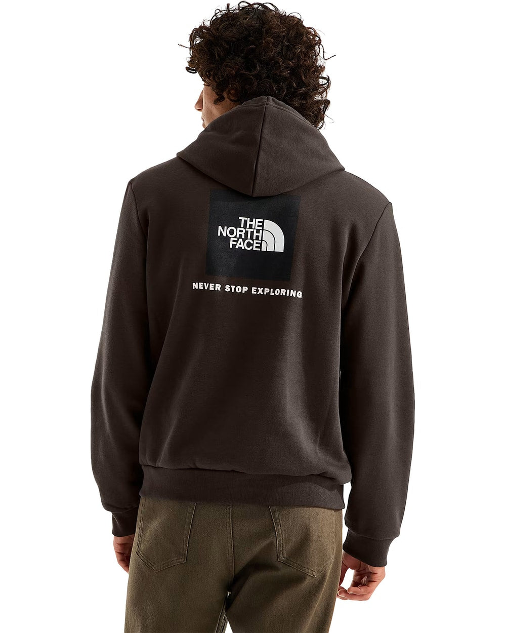 The North Face Men's Evolution Box NSE Hoodie (2026) - DARK CHESTNUT