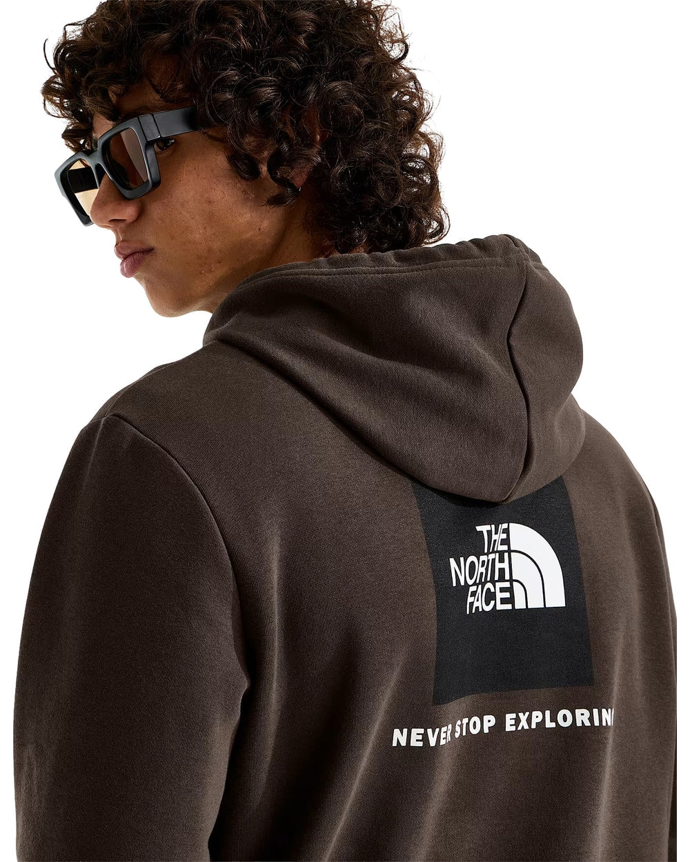 The North Face Men's Evolution Box NSE Hoodie (2026) - DARK CHESTNUT