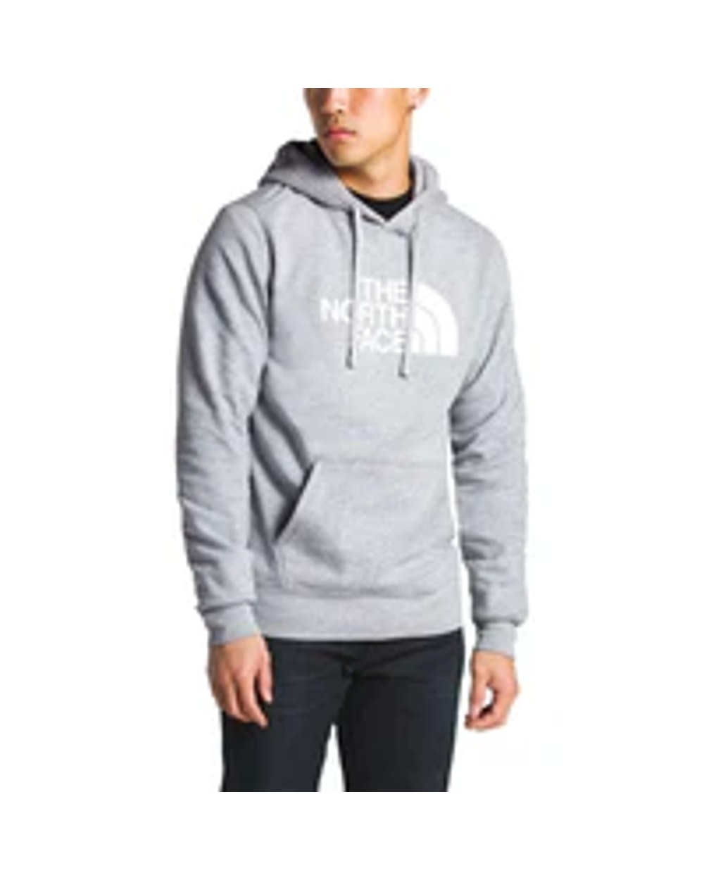 The North Face Men's Evolution Half Dome Regular Hoodie
