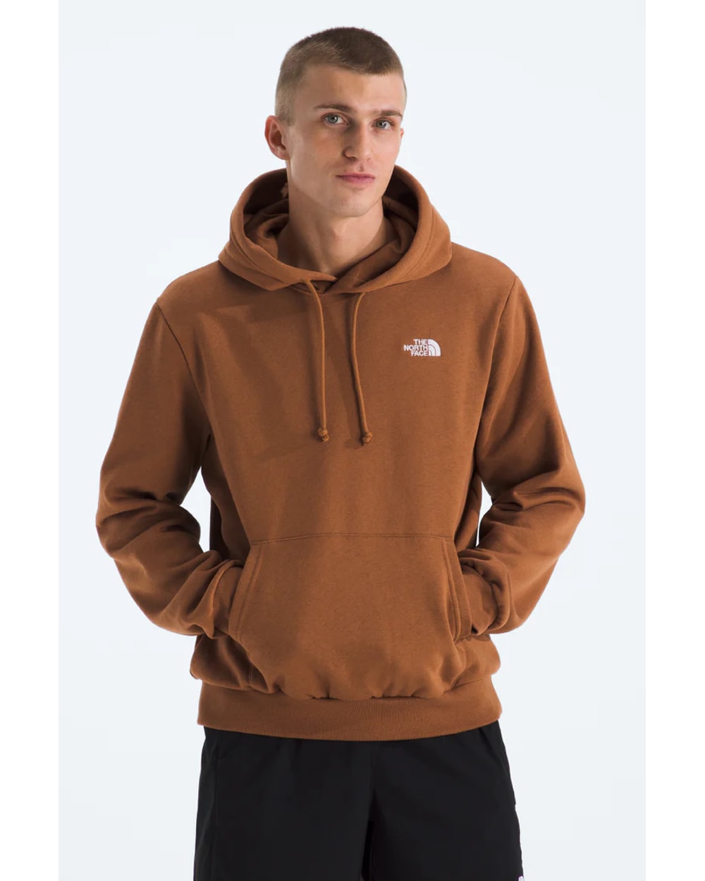 The North Face Men's Evolution Simple Dome Hoodie