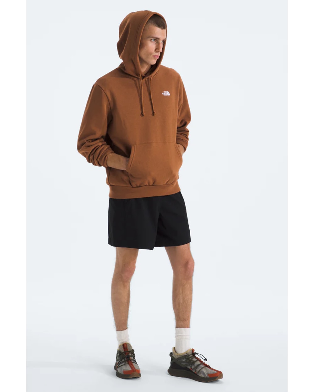 The North Face Men's Evolution Simple Dome Hoodie