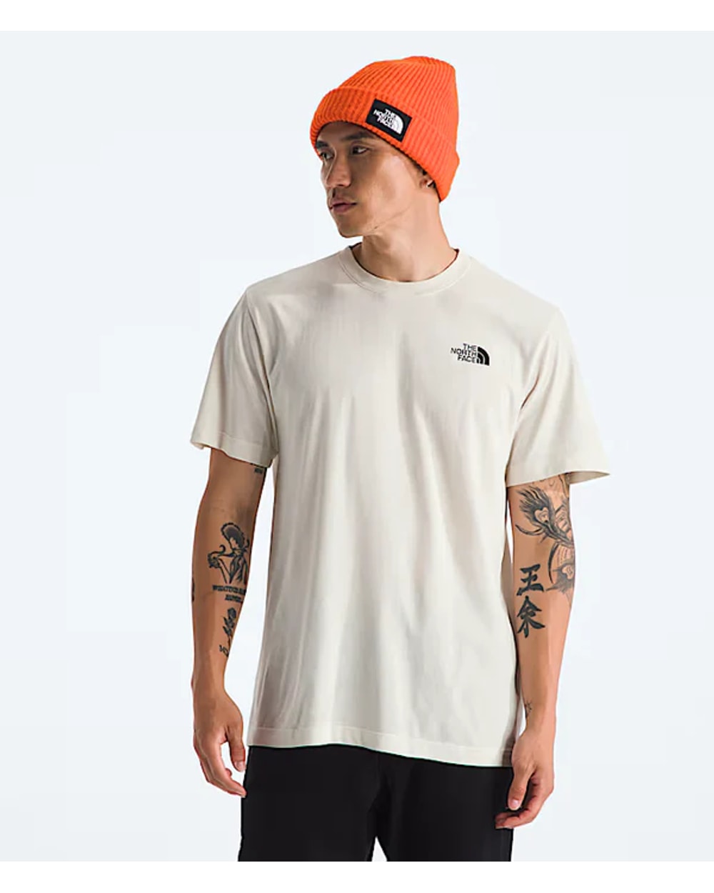 The North Face Men's Evolution Vault Tri Short-Sleeve Tee