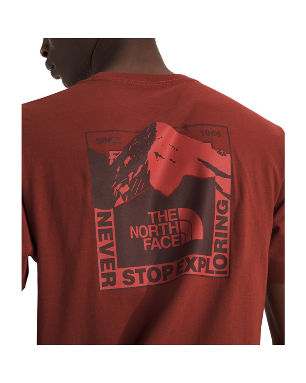 The North Face Men's Mountain Scape T-Shirt