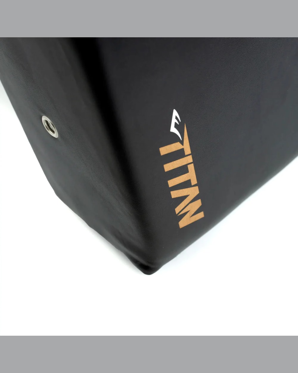 Everlast Titan Kick Shield