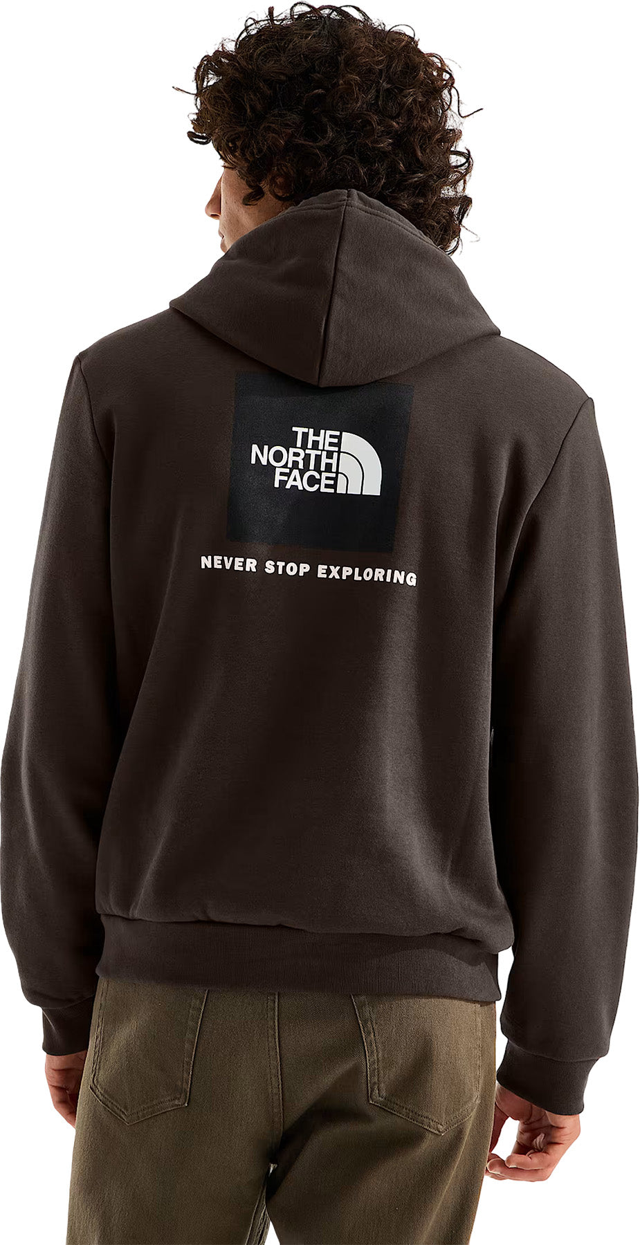 The North Face Men's Evolution Box NSE Hoodie (2026) - DARK CHESTNUT