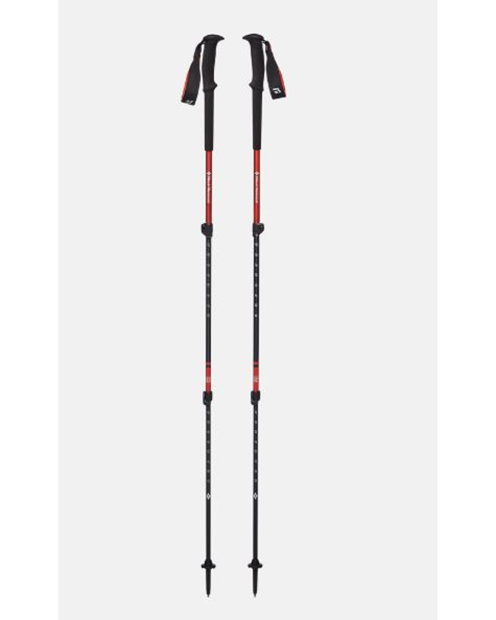 Trail Trekking Poles