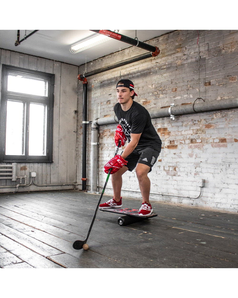 Training Balance Board
