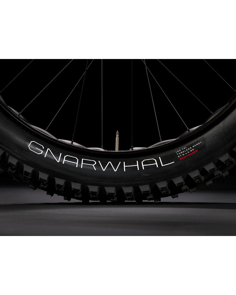 Trek Farley 5 fat bike, detail