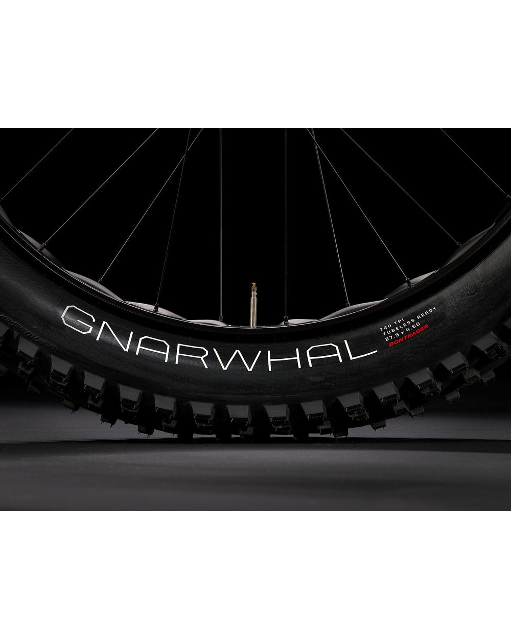 Trek Farley 9 fat bike, detail