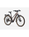 Trek FX+ 2 Midstep Throttle Electric Bike - Bronze Age, front
