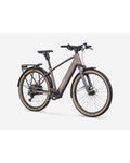 Trek FX+ 2 Step-Over Throttle Electric Bike - Bronze Age, front