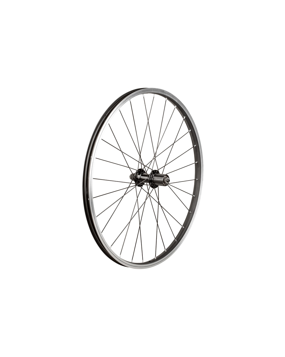 Trek Kids' 28 Hole 24˝ Wheel