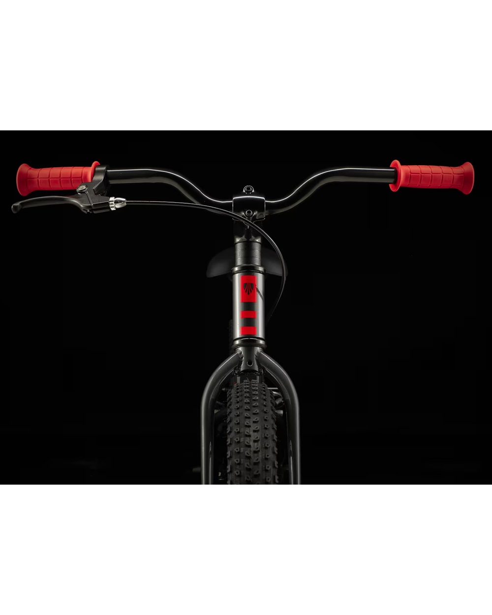 Trek Precaliber 20 CST