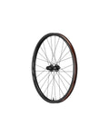 Giant TRX 2 29 Boost Rear Wheel