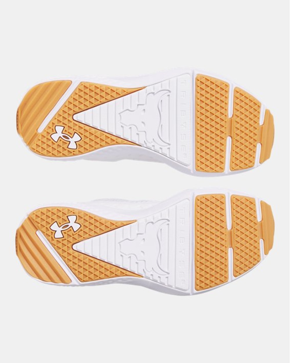 Under Armour Men's Project Rock BSR 5 Training Shoes