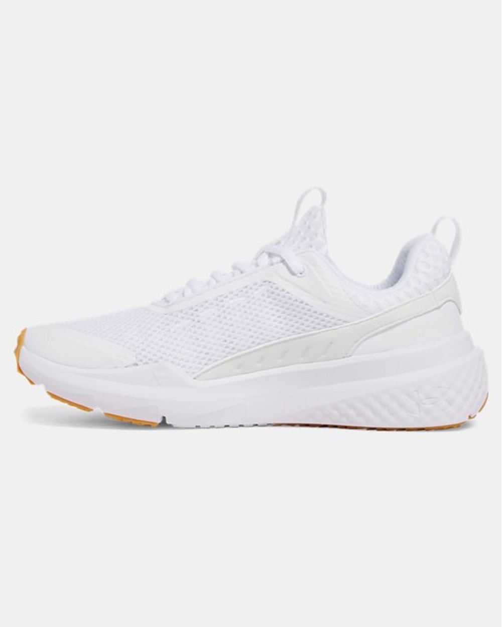 Under Armour Men's Project Rock BSR 5 Training Shoes