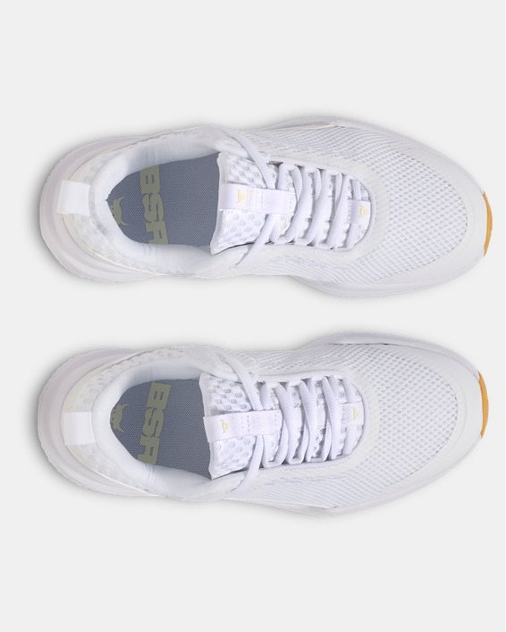 Under Armour Men's Project Rock BSR 5 Training Shoes