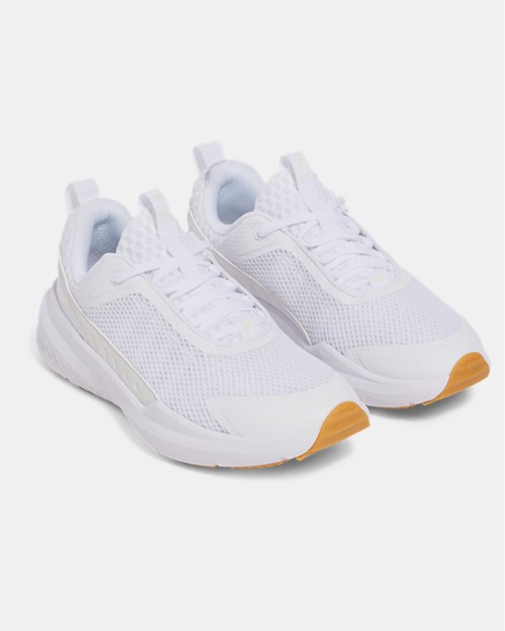 Under Armour Men's Project Rock BSR 5 Training Shoes