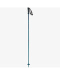 Salomon Unisex Arctic Alpine Poles
