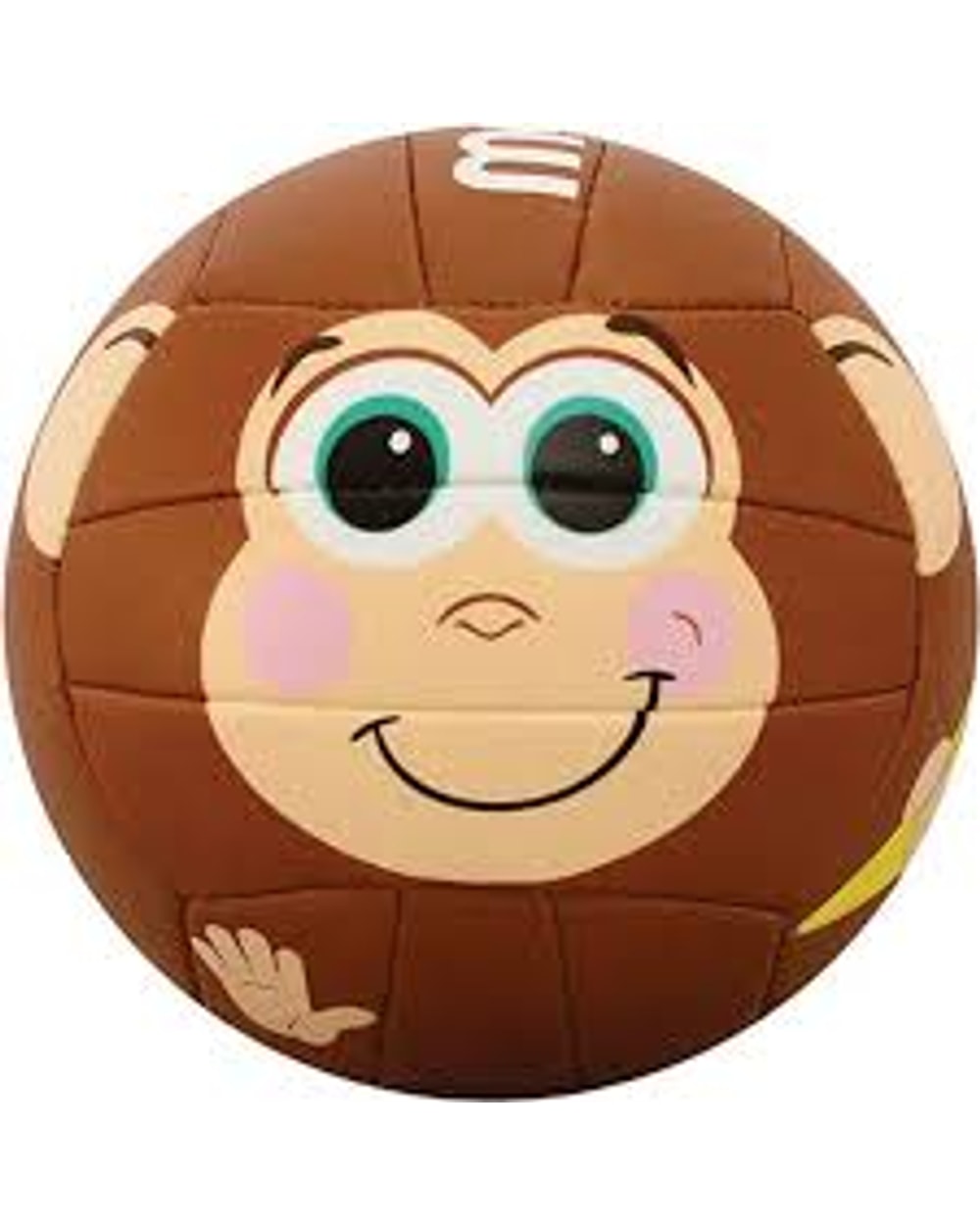 V200 Mini Volleyball