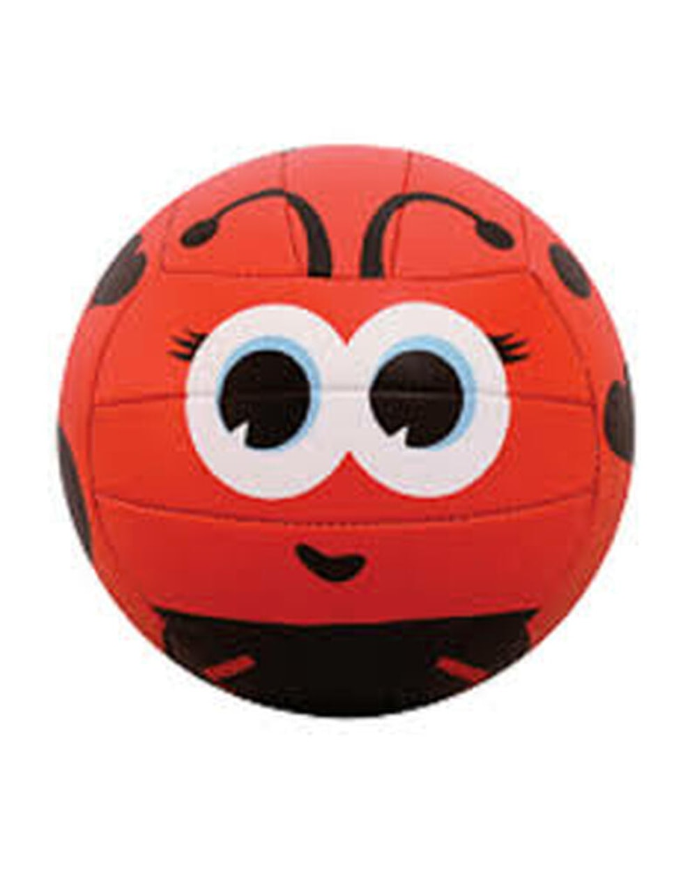 V200 Mini Volleyball
