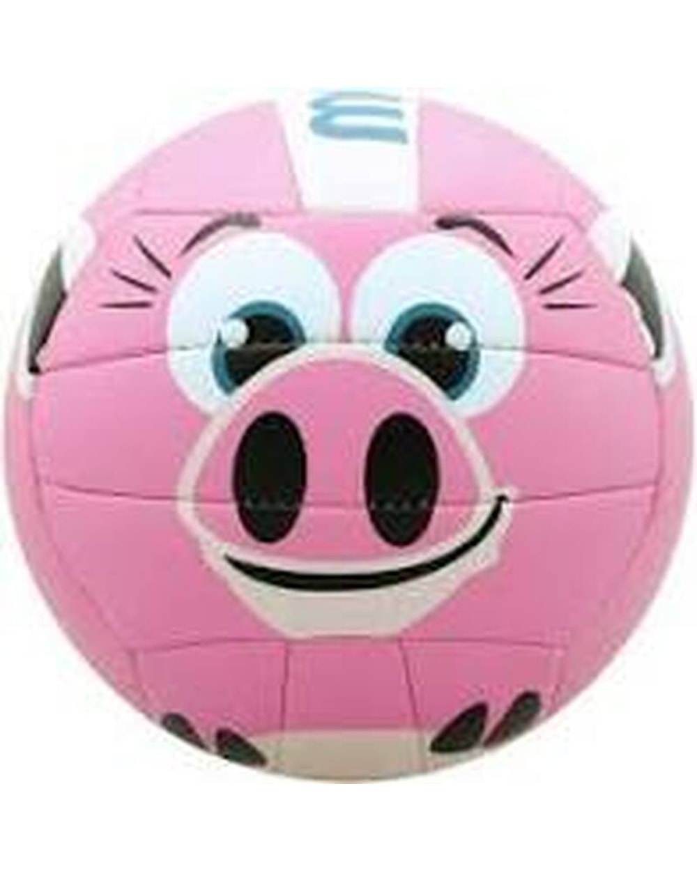 V200 Mini Volleyball