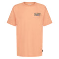 Billabong Boys' Heritage Arch T-Shirt