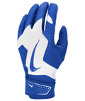 Nike Youth Alpha 2.0 Batting Gloves