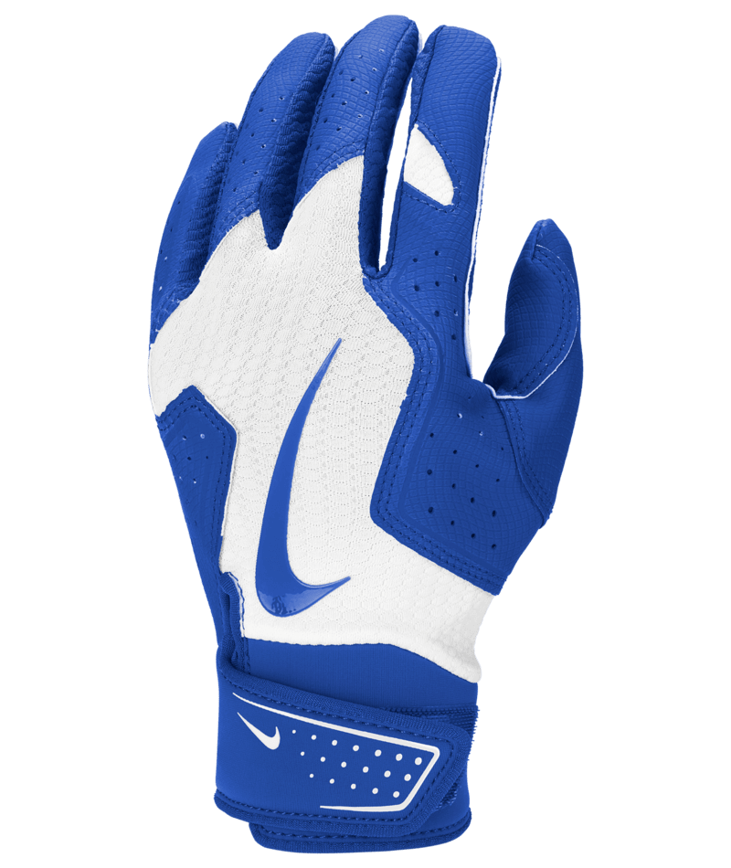 Nike Youth Alpha 2.0 Batting Gloves