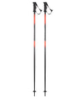 Vector 10 Ski Pole