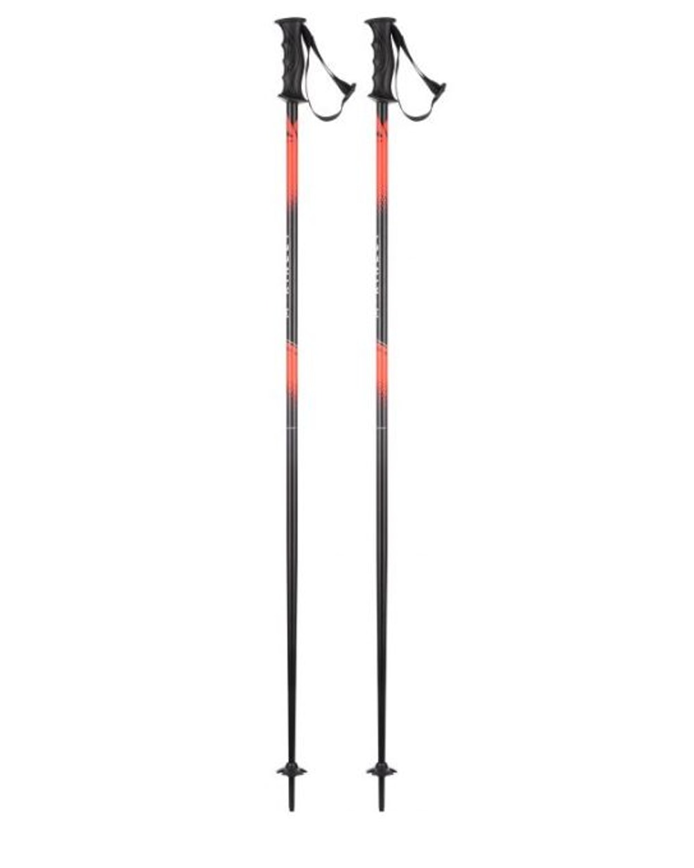 Vector 10 Ski Pole
