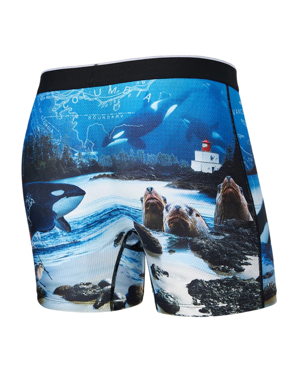 Volt Boxer Brief - Vancouver Island Multi