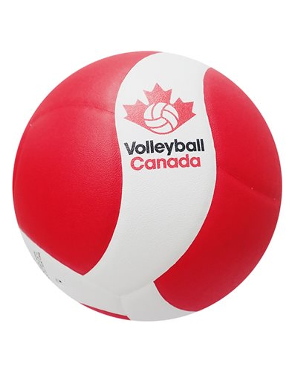 Vollyeball Canada Competition Ball