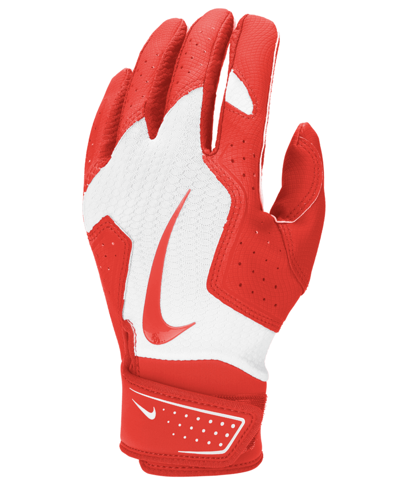Nike Youth Alpha 2.0 Batting Gloves