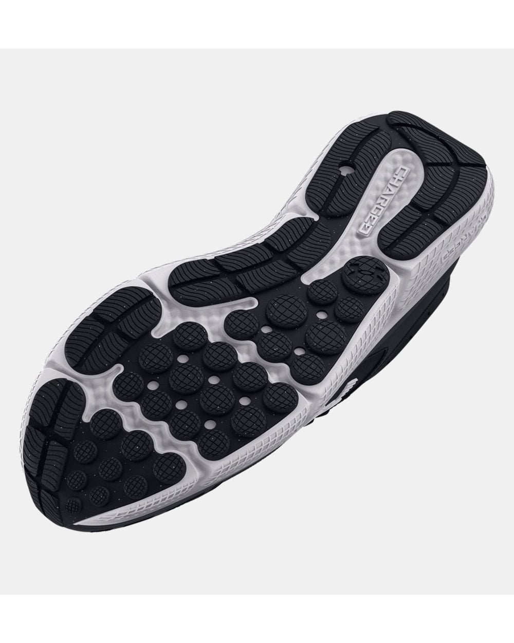 Women's Charged Assert 10 Wide (D) Running Shoes