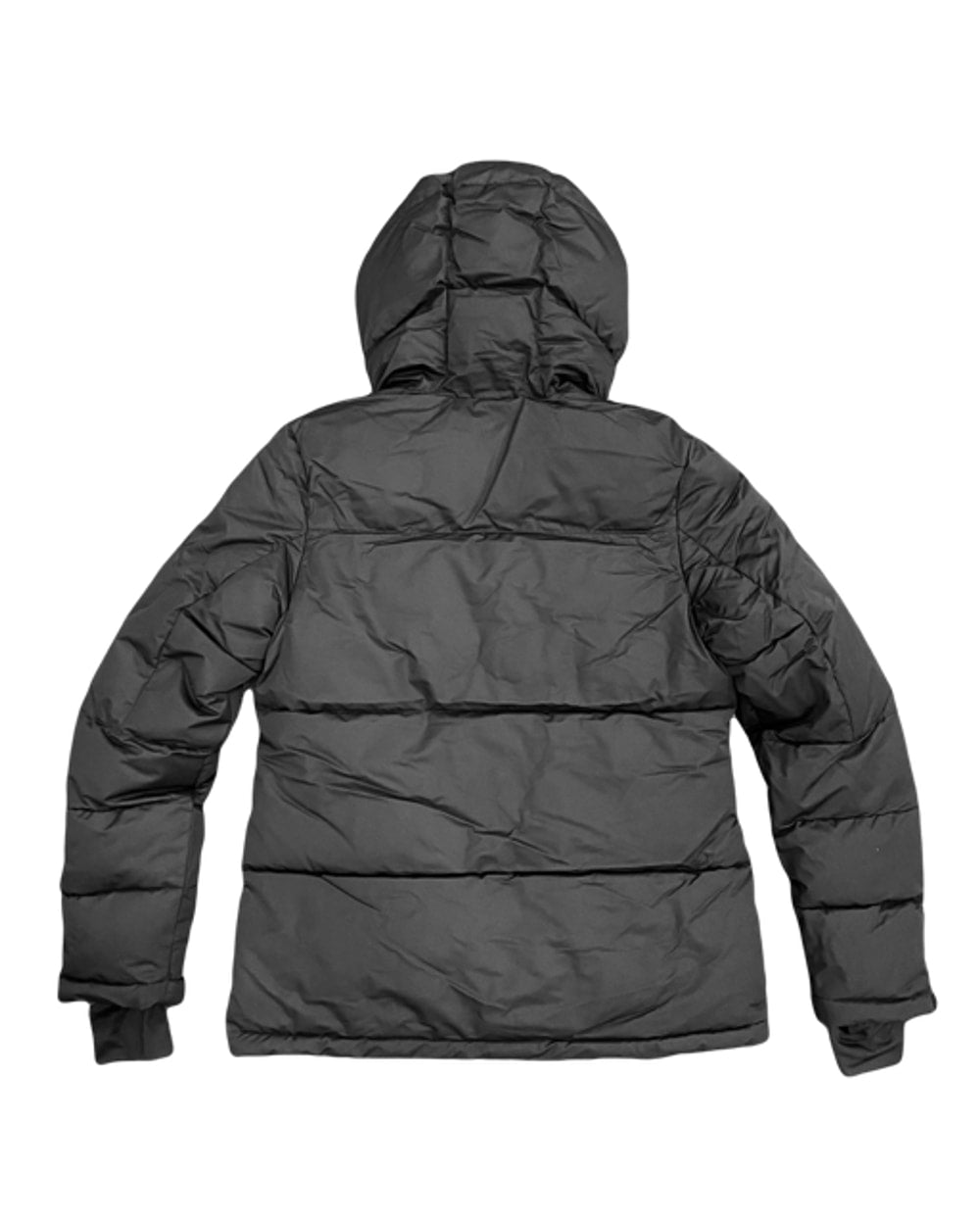 Women's Edwina Insulated Jacket