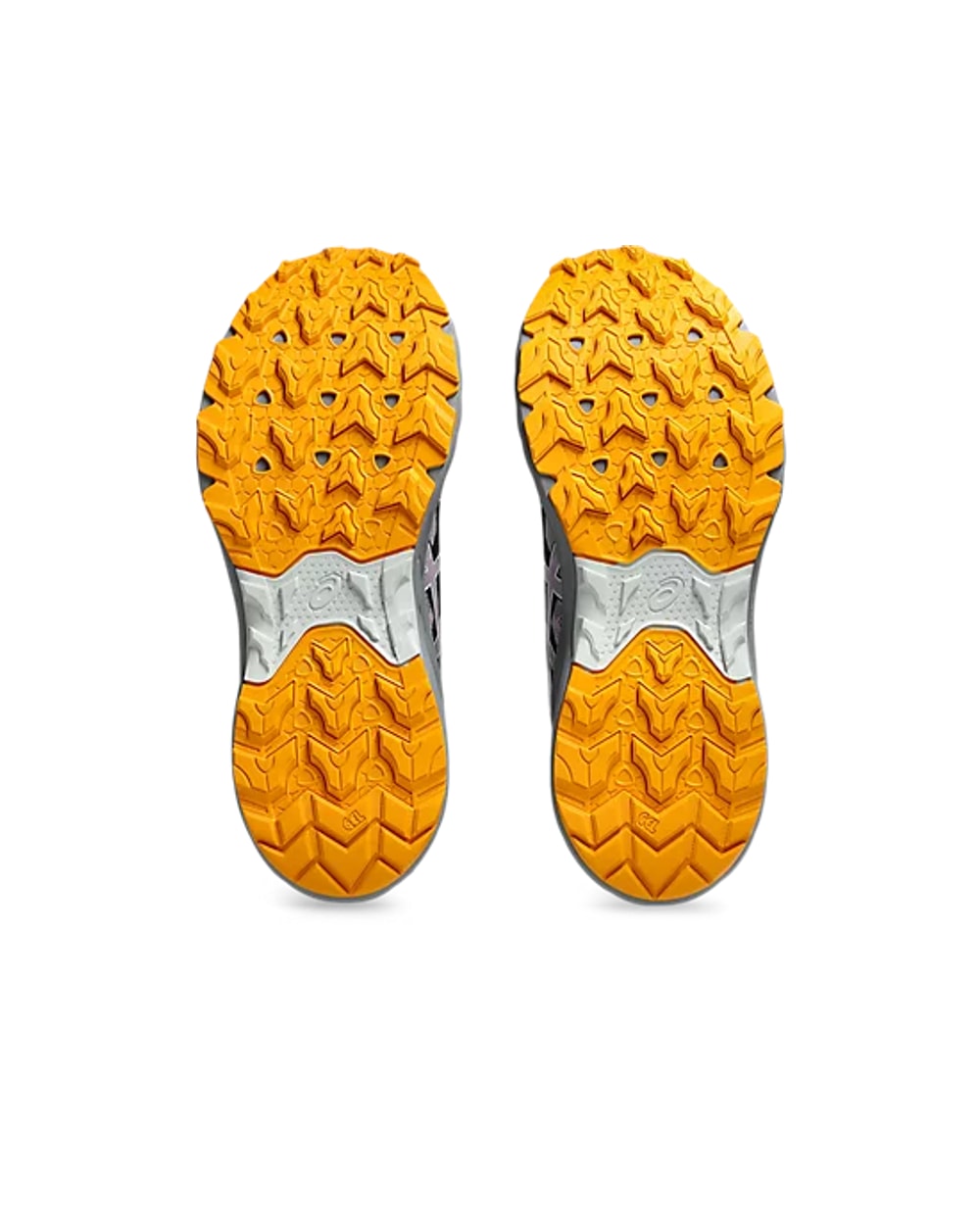Asics Women's Gel-Venture 10 Trail Running Shoes