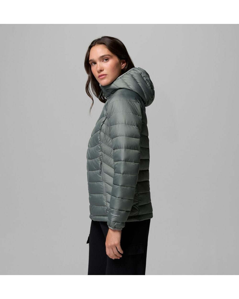 Powder Lite II Hooded Jacket - Sedona Sage, alternate