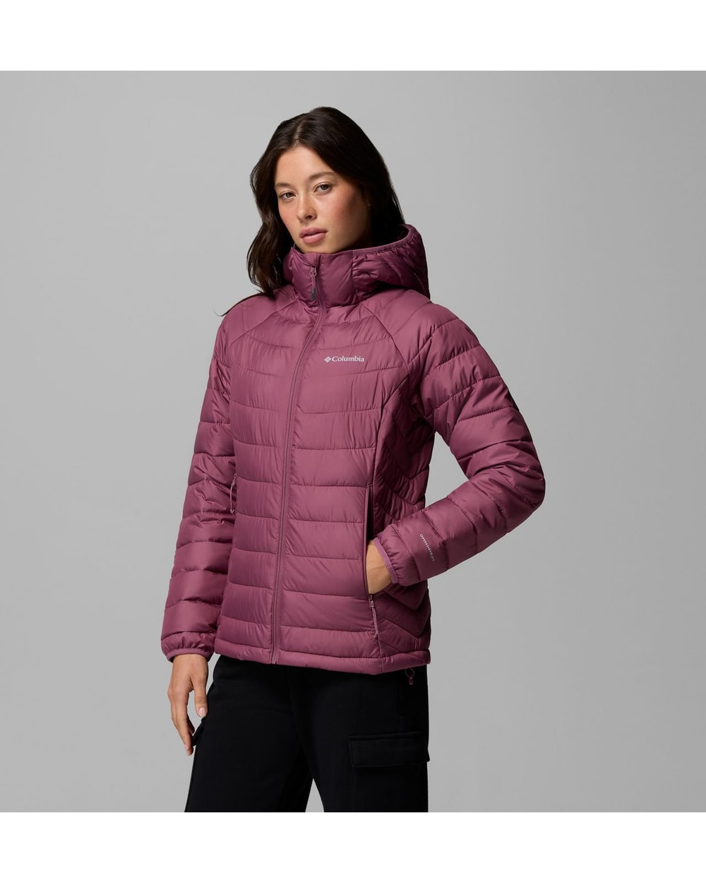 Powder Lite II Hooded Jacket - Antique Mauve, alternate
