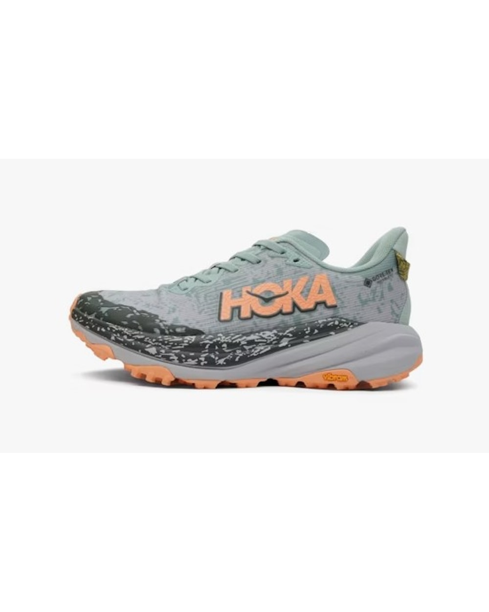 Women's Speedgoat 6 GTX Trail Running Shoes