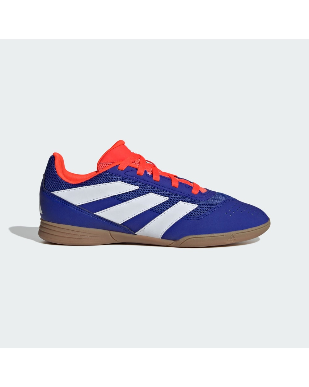 Youth Predator 24 Club Indoor Sala Boots