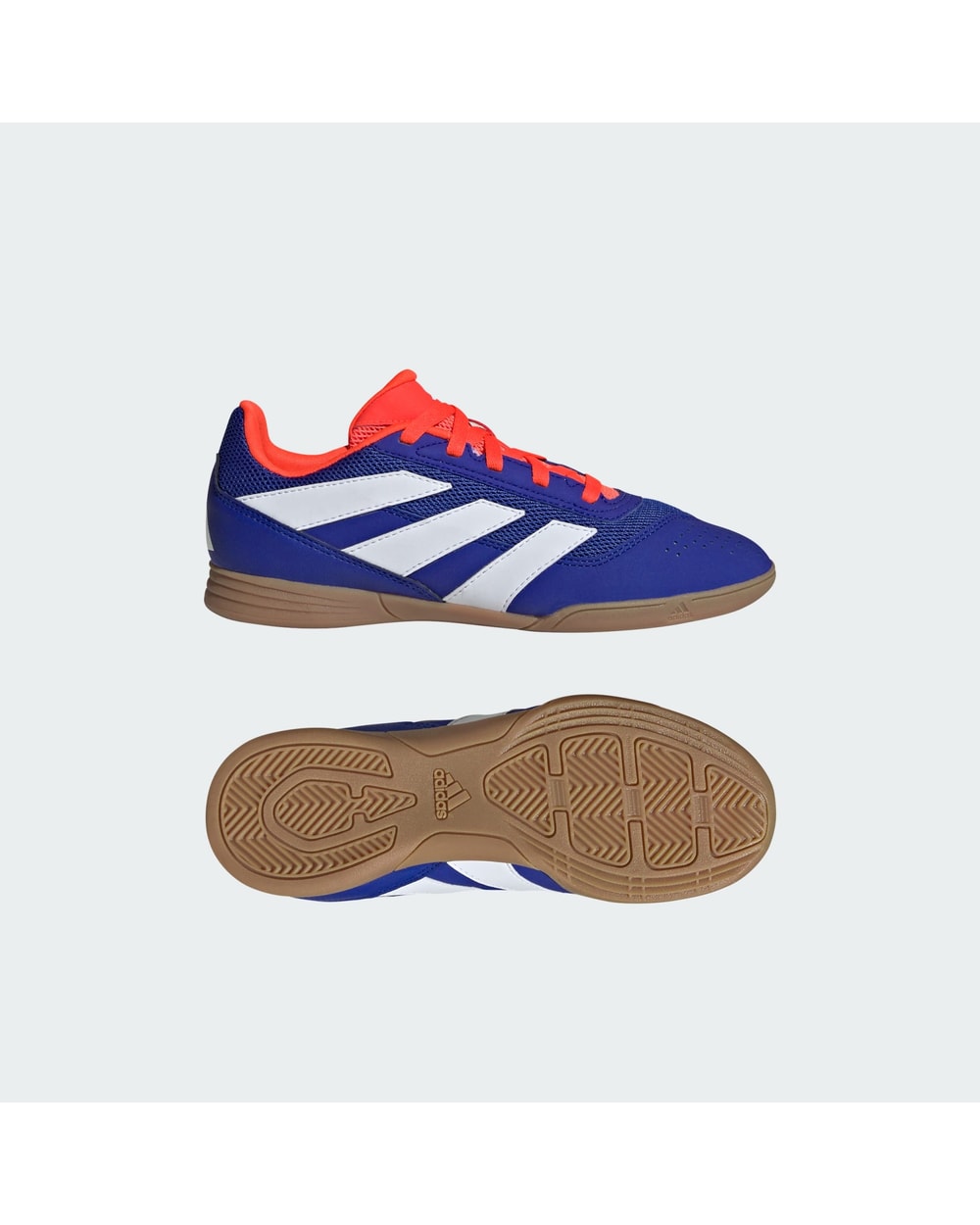 Youth Predator 24 Club Indoor Sala Boots