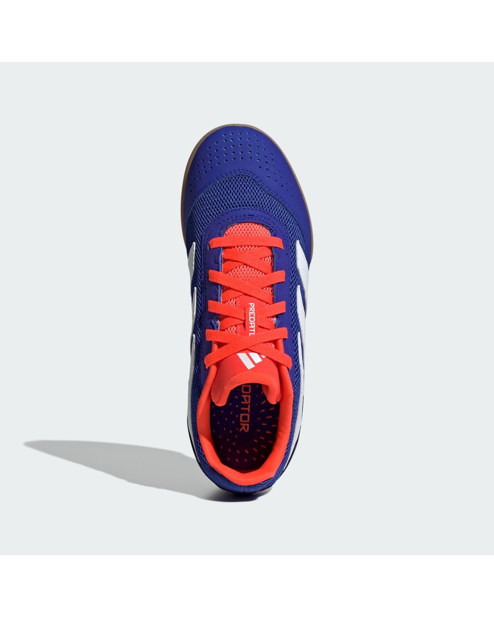 Youth Predator 24 Club Indoor Sala Boots